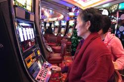 深入解读mg三倍金刚主页精彩内容与特色玩法全攻略